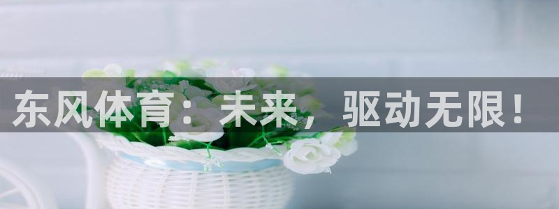 3377体育官网下载娱乐：东风体育：未来，驱动无限！