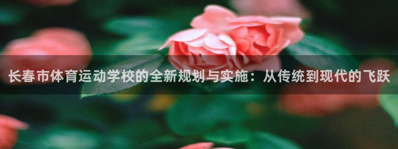 3377体育官网下载是干嘛的公司：长春市体育运动学校