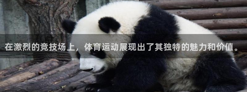 3377体育官方正版app娱乐：在激烈的竞技场上，体
