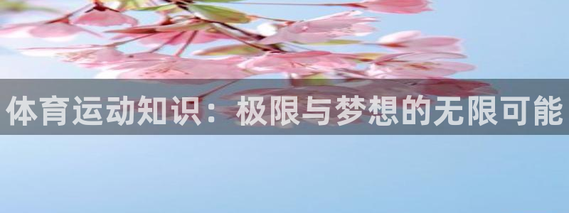 3377体育官方正版app集团官网首页网址：体育运动