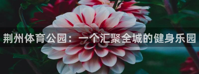 3377体育官方正版app娱乐是那个系列的台子：荆州