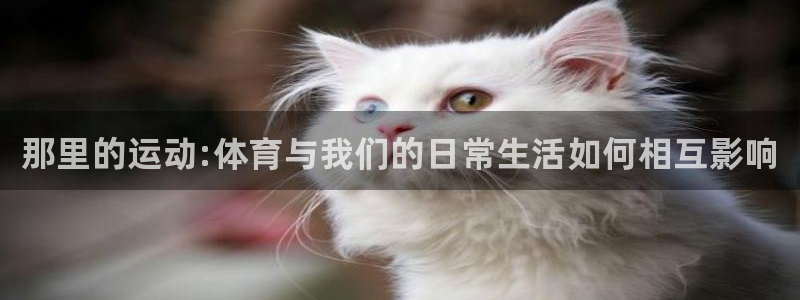 3377体育官网下载招商电话号码是多少：那里的运动: