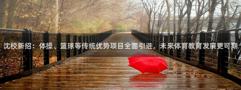 3377体育官方正版app神州