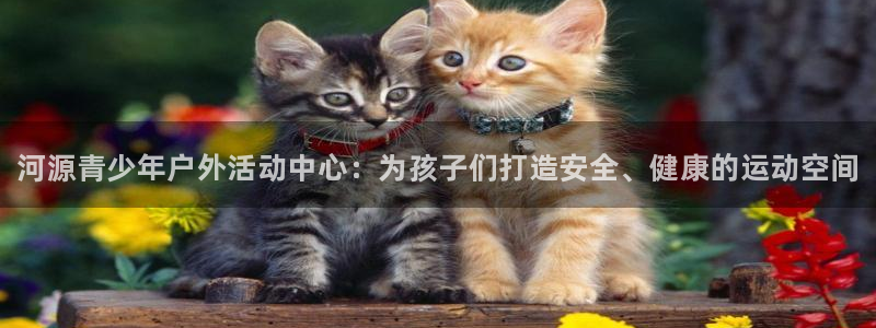 3377体育官网下载平台是正规平台吗：河源青少年户外