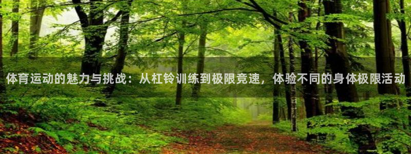 3377体育官方正版app集团简介：体育运动的魅力与