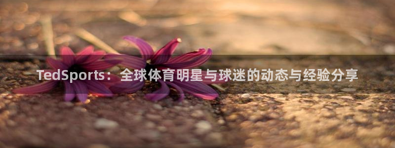 3377体育官网下载招商电话是多少啊：TedSpor