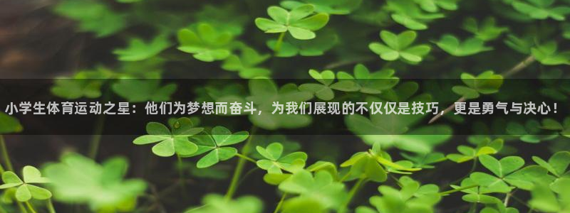 3377体育官网下载招商电话号码是多少号：小学生体育