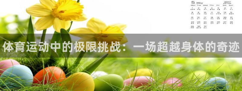 3377体育官方正版app娱乐：体育运动中的极限挑战：一场超