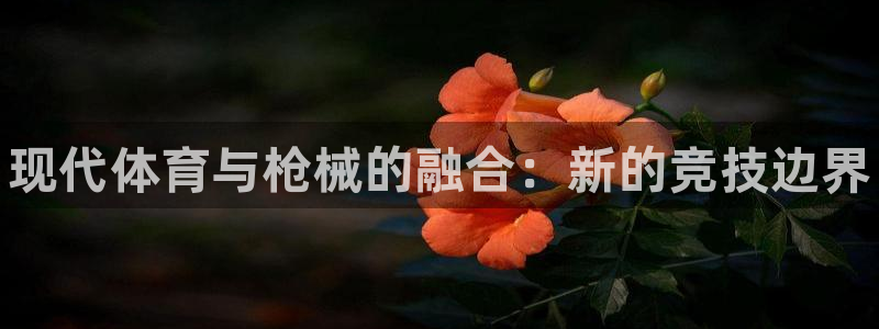 海南3377体育官网下载发展怎么样：现代体育与枪械的