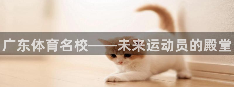 3377体育官网下载招商电话号码：广东体育名校——未