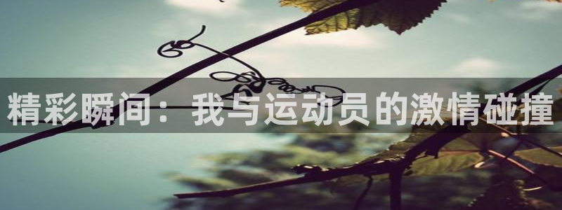 3377体育官方正版app娱乐首页网站大全：精彩瞬间