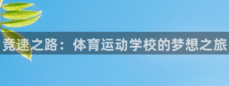 3377体育官方正版app开户：竞速之路：体育运动学校的梦想