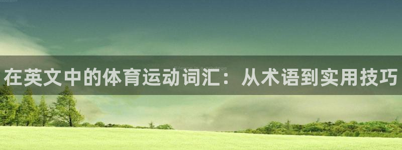 3377体育官网下载平台假的吗是真的吗吗：在英文中的体育运动