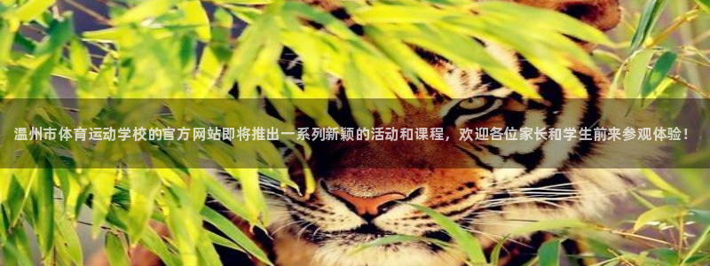 3377体育官网下载招商电话号码是多少啊：温州市体育运动学校