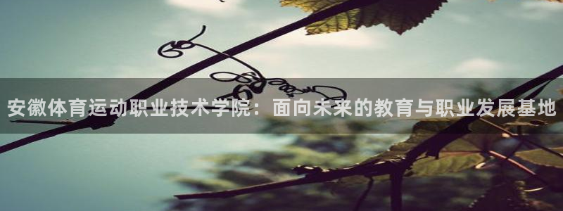 3377体育官方正版app神州：安徽体育运动职业技术学院：面