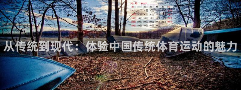 3377体育官方正版app娱乐：从传统到现代：体验中