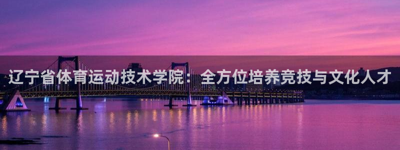 3377体育官方正版app集团logo