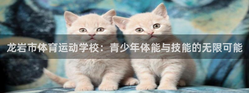 海南3377体育官网下载发展怎么样：龙岩市体育运动学