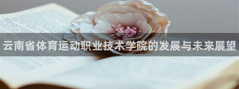 3377体育官方正版app娱乐是那个系列的台子