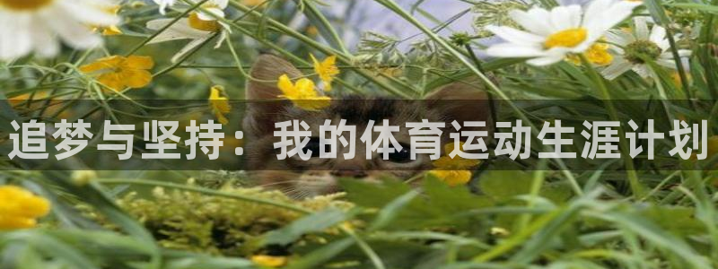 3377体育官网下载招商电话是多少号码：追梦与坚持：我的体育