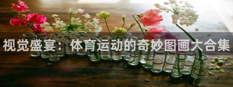 3377体育官网下载平台是正规平台吗知乎：视觉盛宴：体育运动