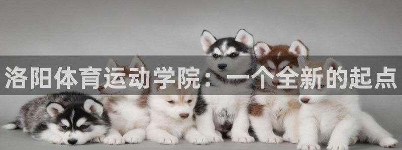 3377体育官网下载招商